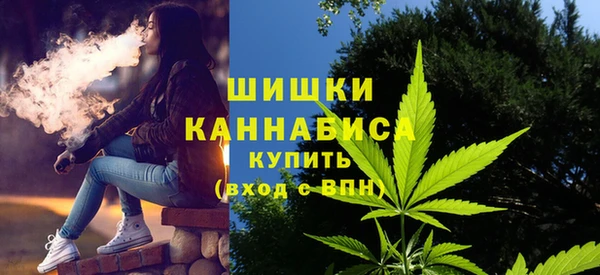 круглые Инсар